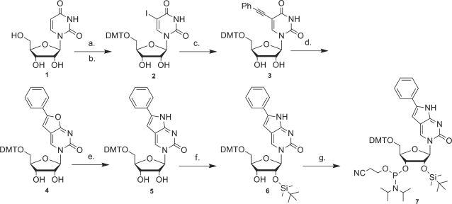 Scheme 3.