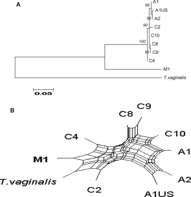 Fig. 5.