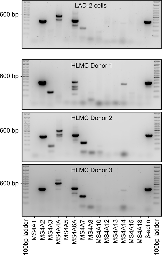 Figure 2: