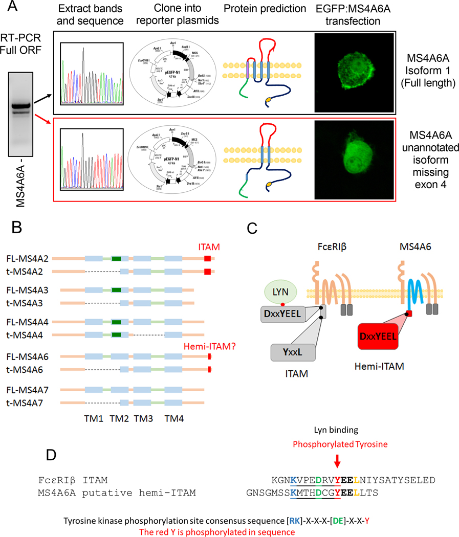 Figure 3: