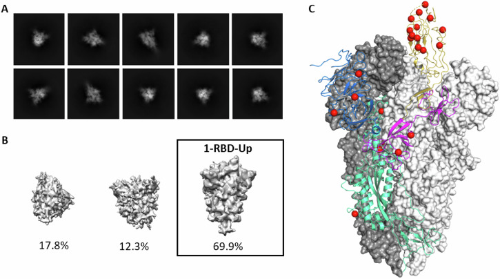 Fig. 2