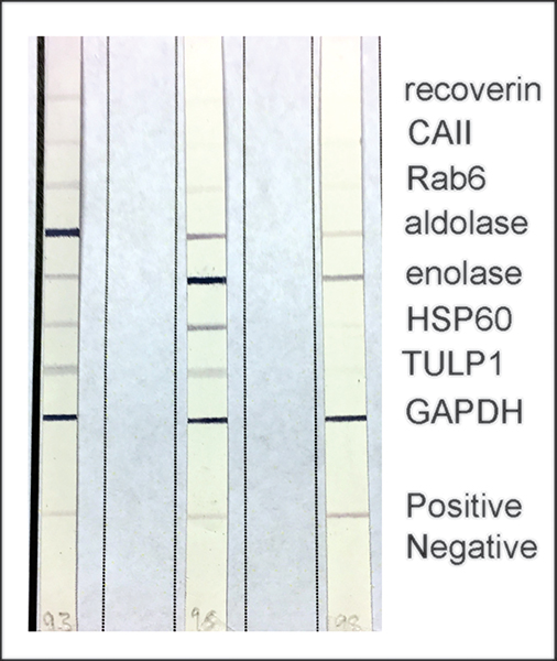 Figure. 3.