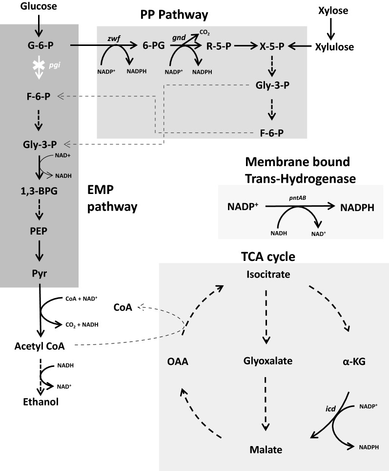 Fig. 1