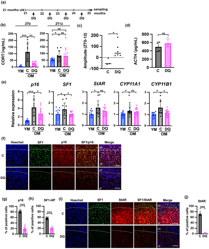 FIGURE 3