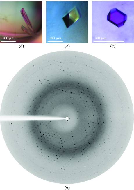 Figure 2