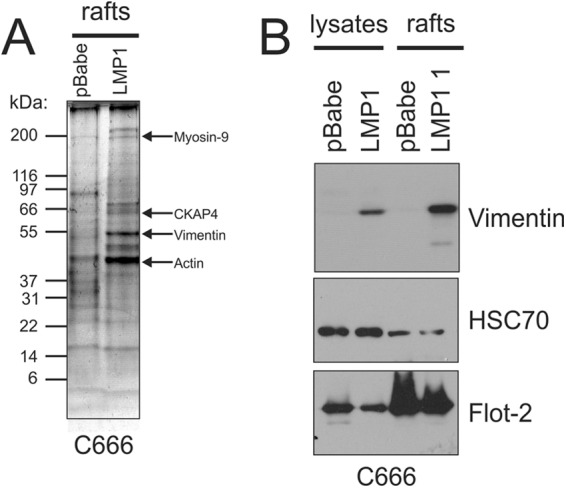 Fig 5