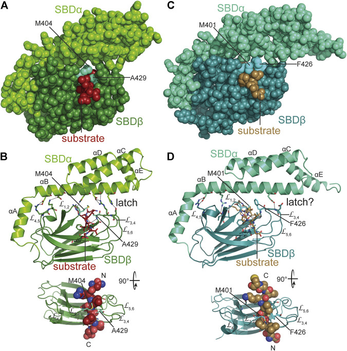 FIGURE 6