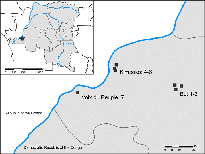 Fig. 1