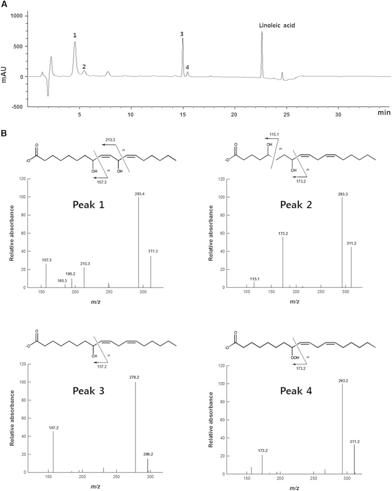 Fig. 3.