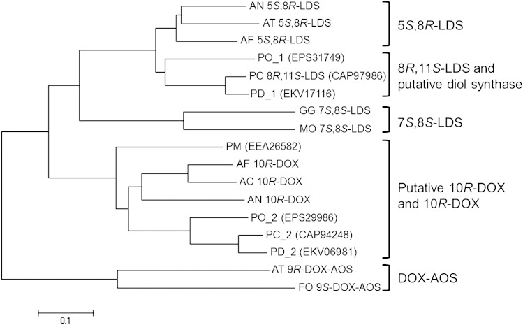 Fig. 6.