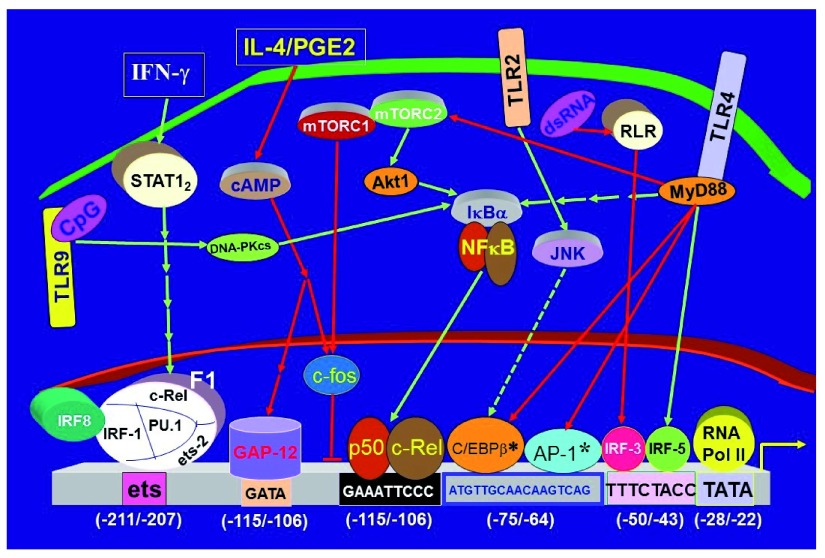 Figure 1. 