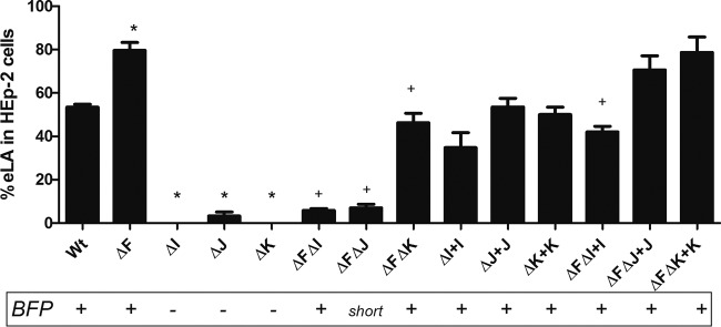 FIG 6