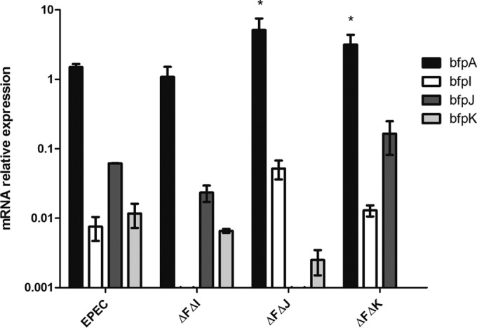 FIG 1