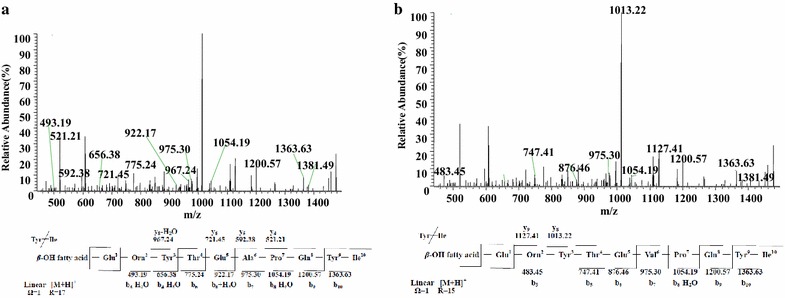 Fig. 10