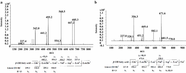 Fig. 7