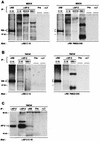 FIG. 6