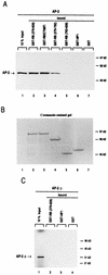 FIG. 5