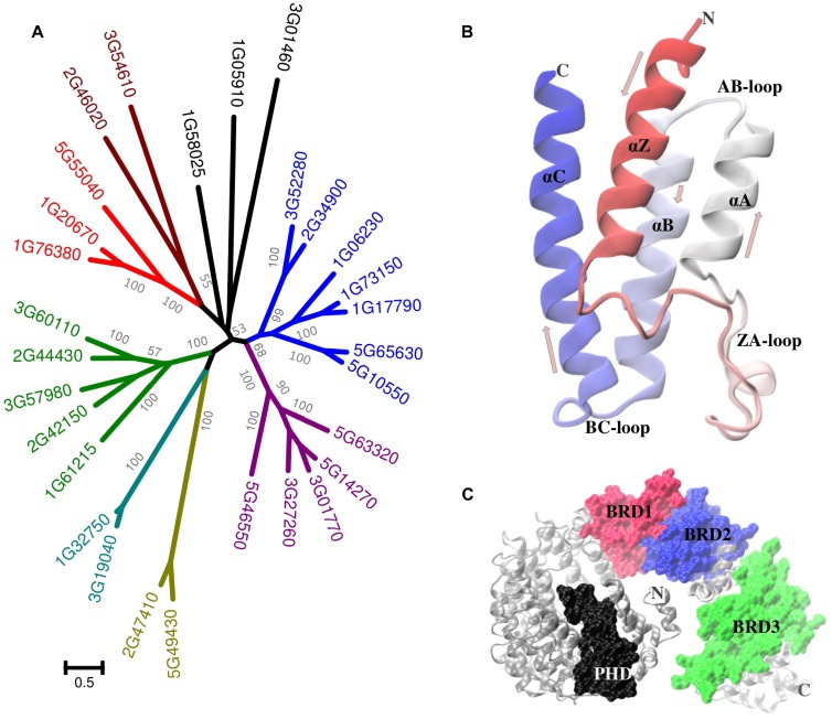 FIGURE 2