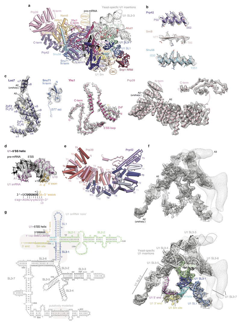 Extended Data Figure 3