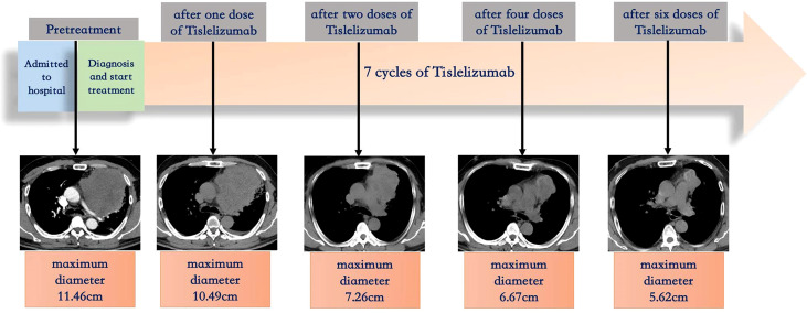 Figure 3