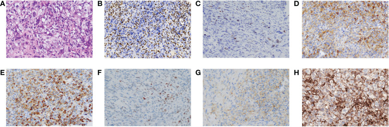 Figure 2