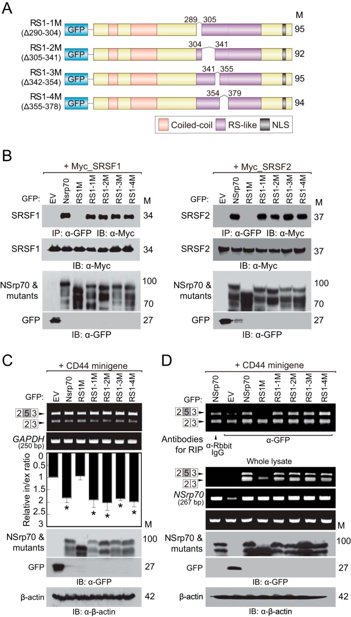 FIGURE 4.