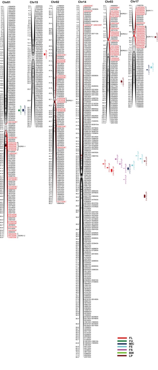 FIGURE 1