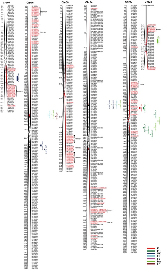 FIGURE 3