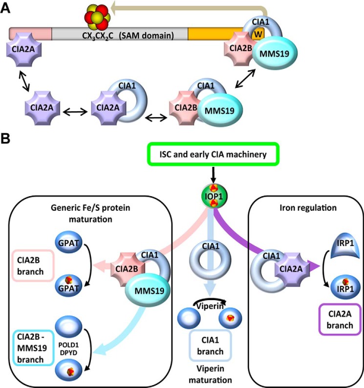 Figure 6.