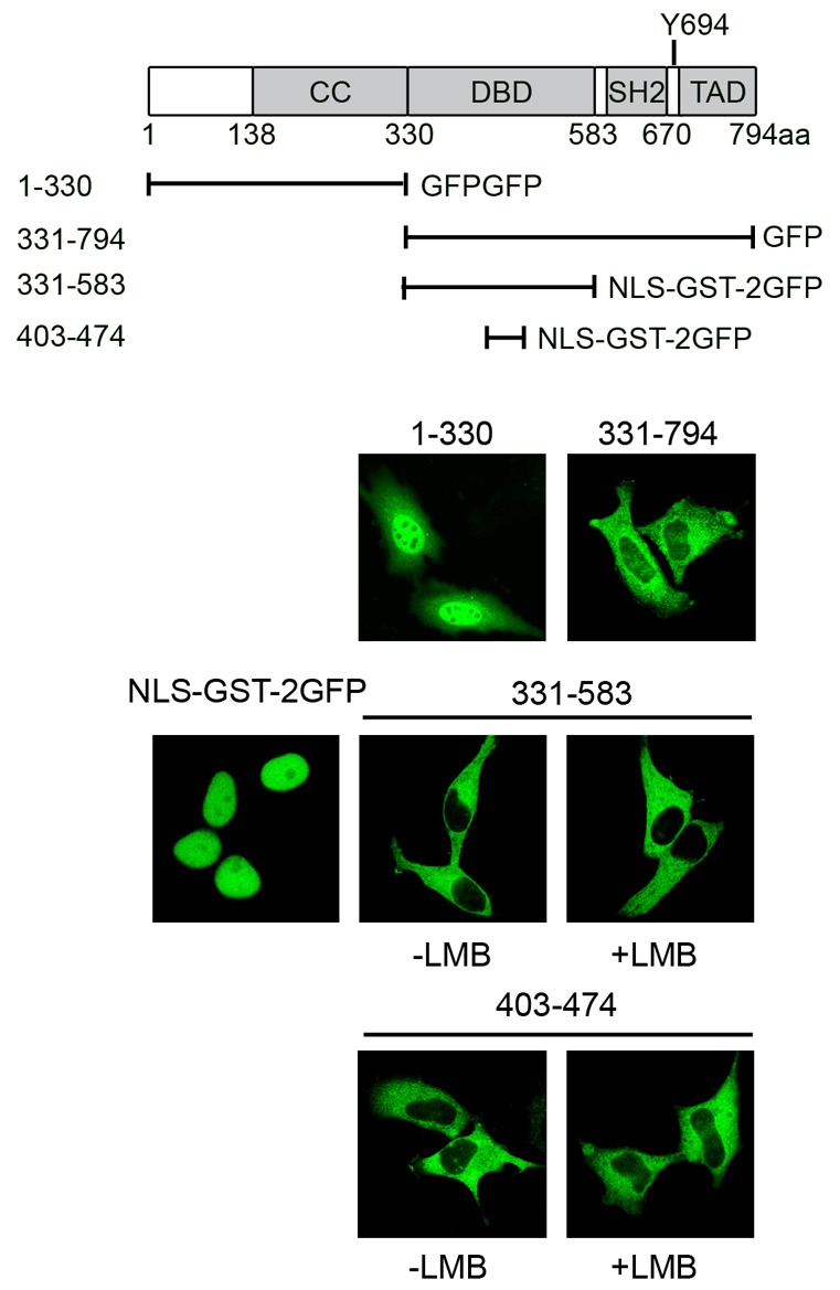 Fig. 8.