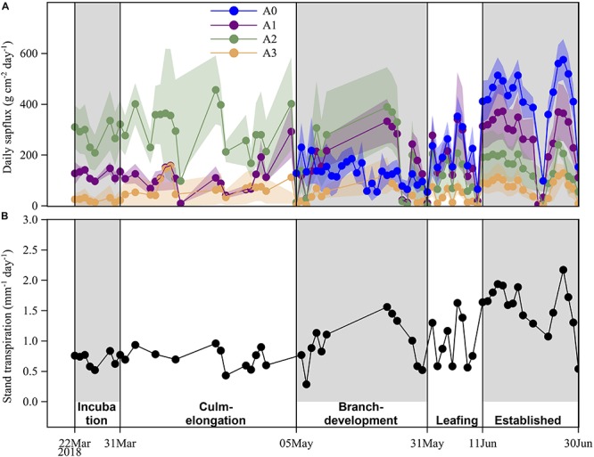 FIGURE 3