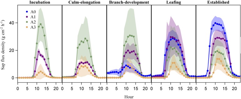 FIGURE 4