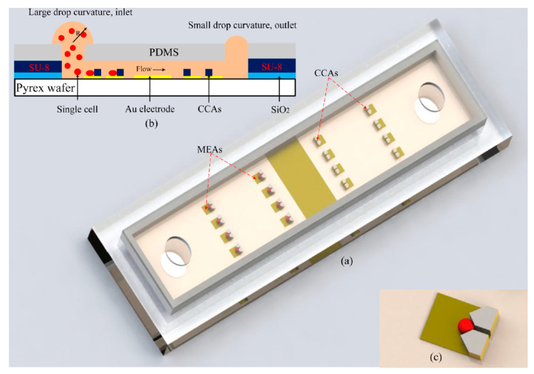 Figure 11