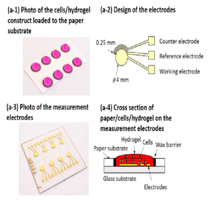 Figure 9