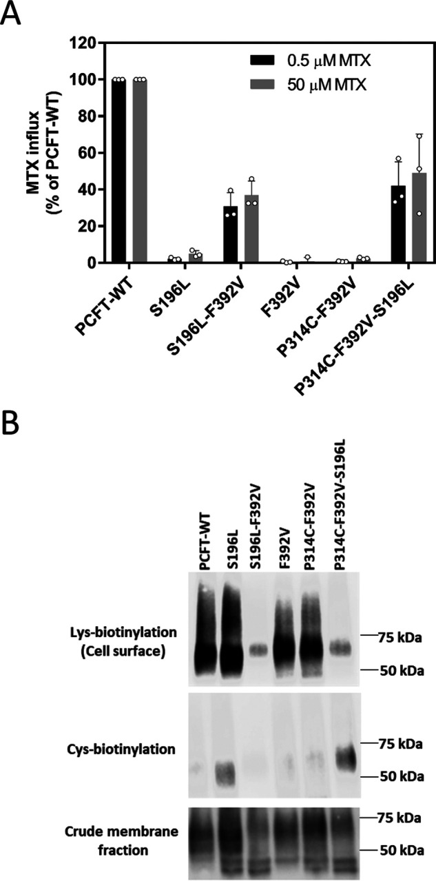 Figure 6.