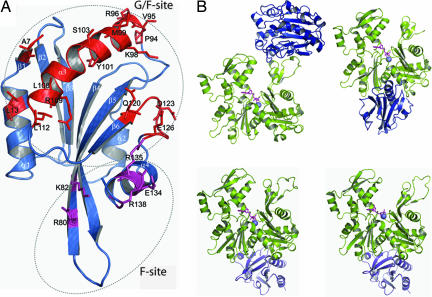 Fig. 1.