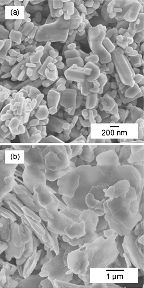 Synthesis of (cinnamate-zinc layered hydroxide) intercalation compound ...