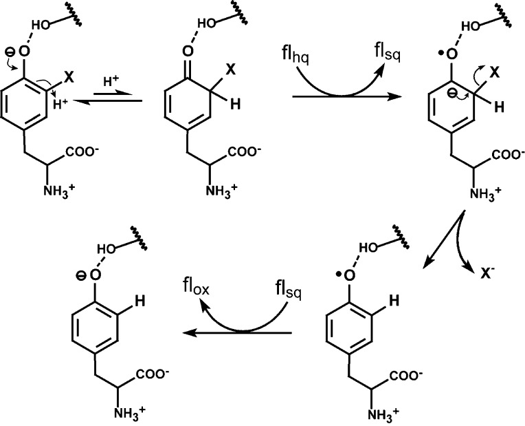 Scheme 4