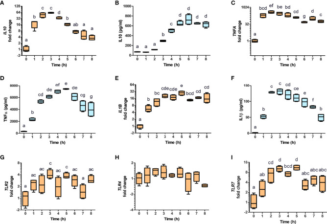 Figure 4