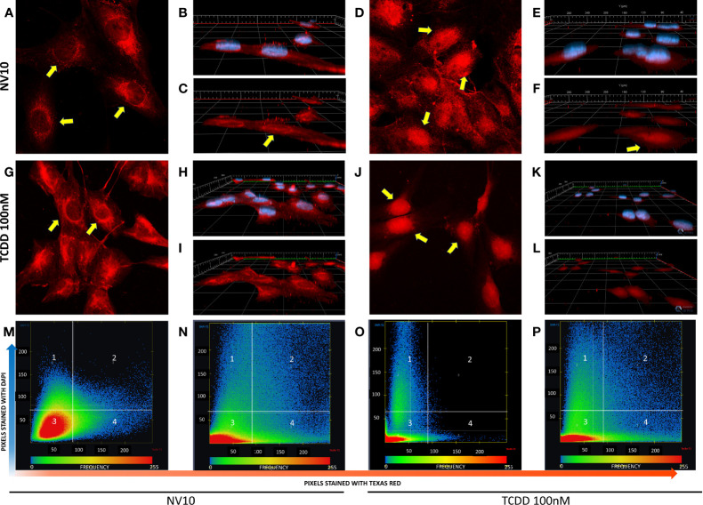 Figure 2