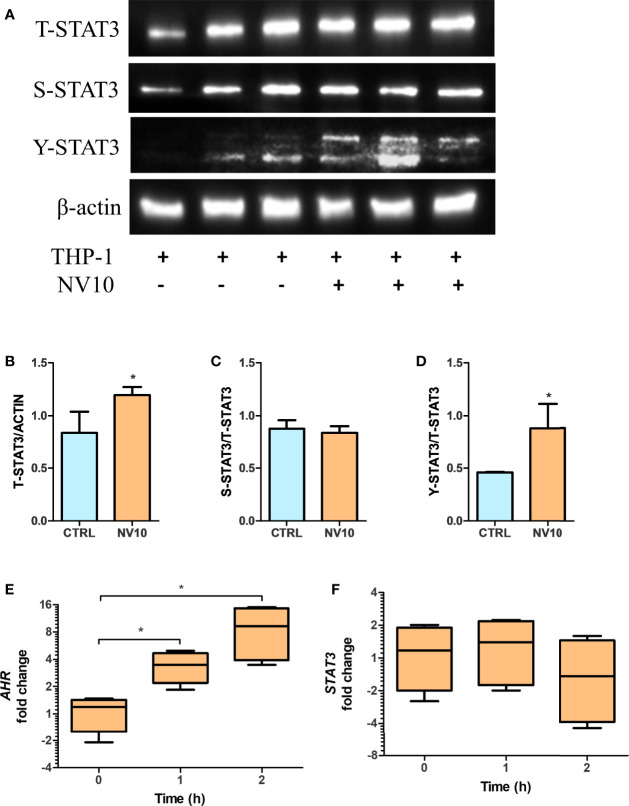 Figure 5