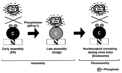 FIG. 6.