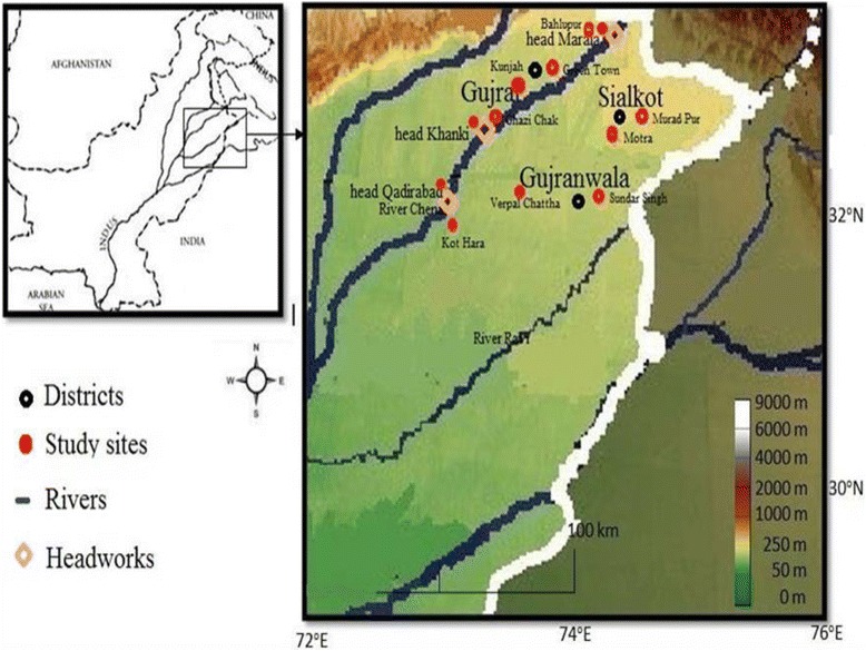 Fig. 1