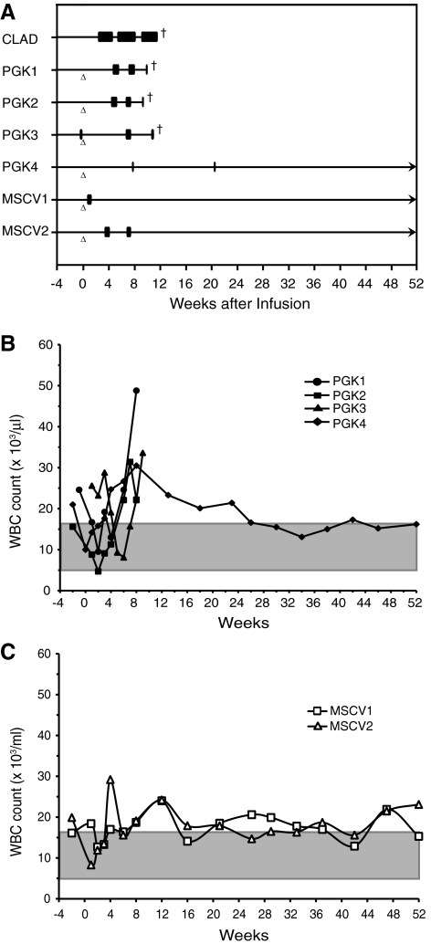 FIG. 6.