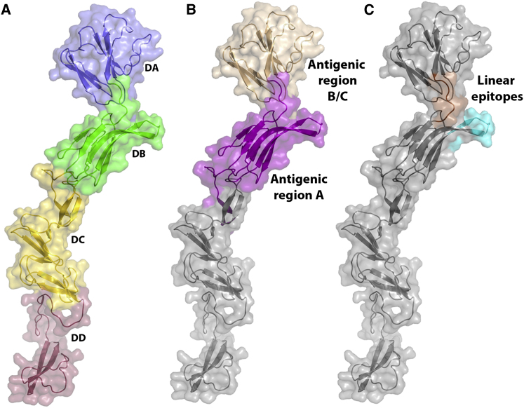 Figure 2