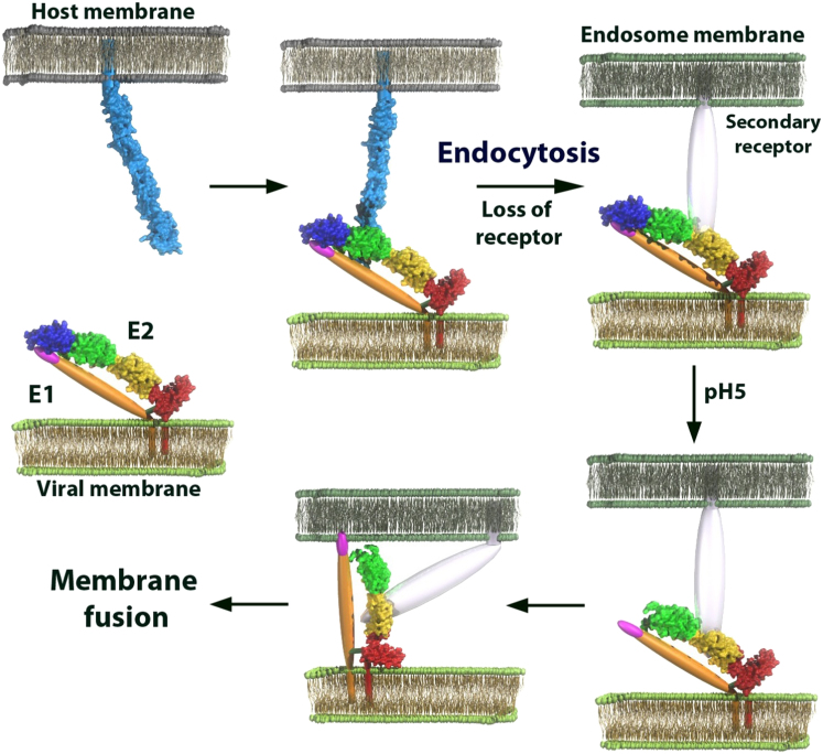 Figure 4