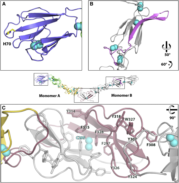 Figure 3