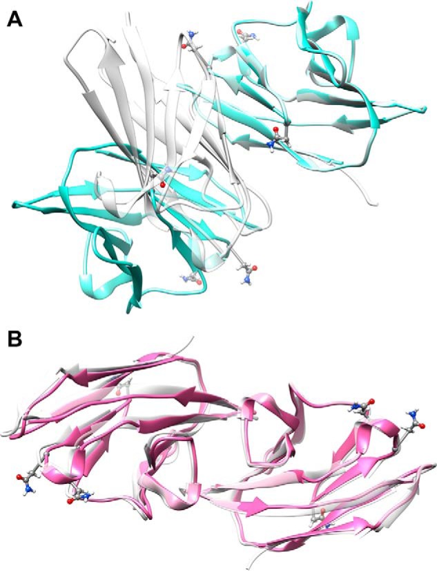 FIGURE 4.