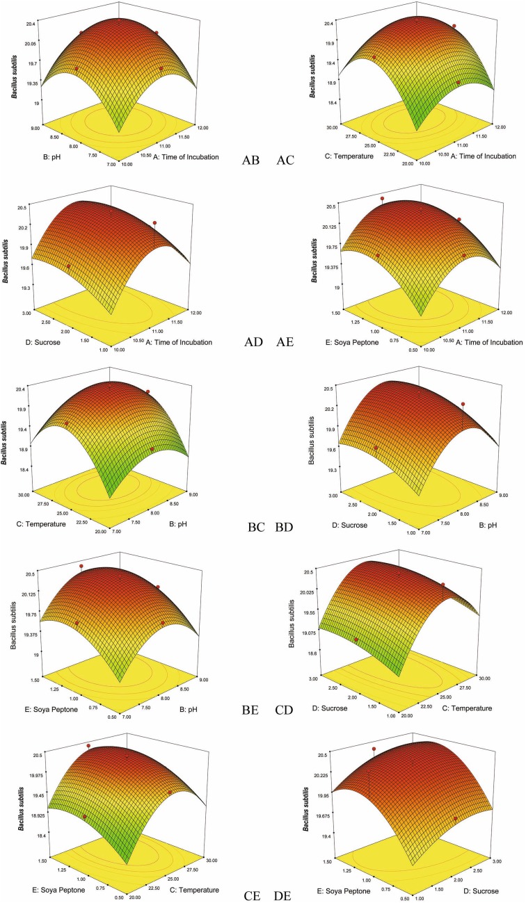 Fig. 2