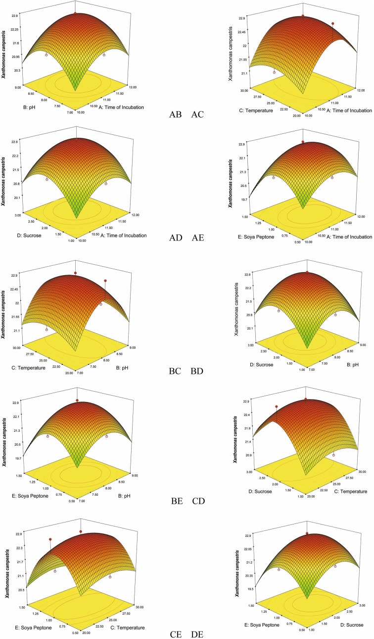 Fig. 3